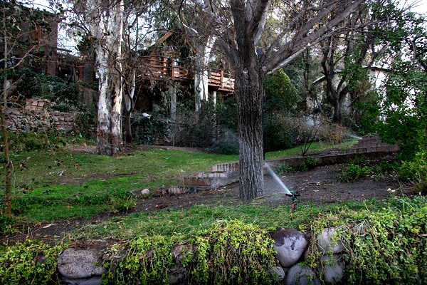 Naturaleza viva en el Cerro San Luis - Foto Marcos Doña