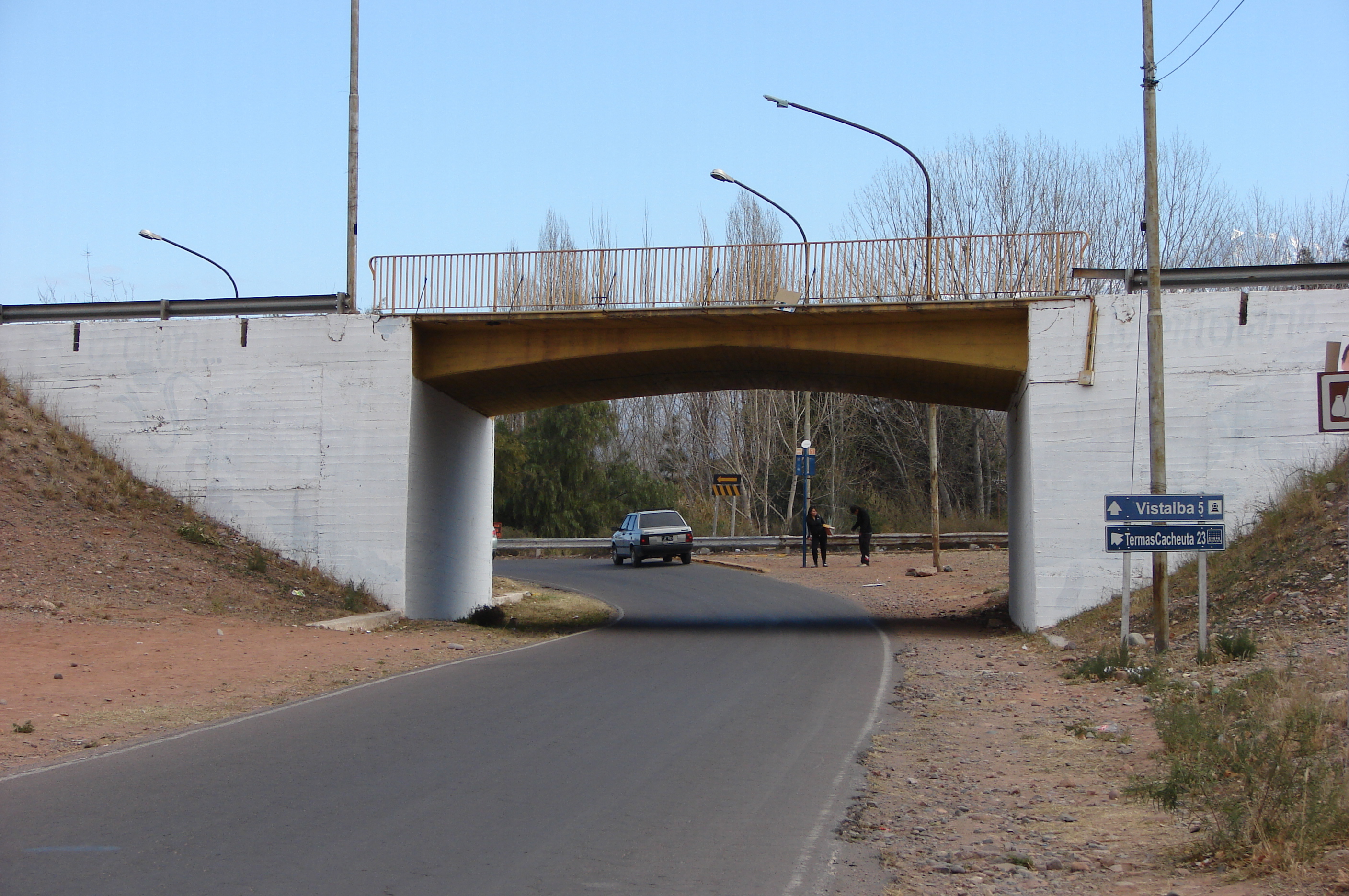 Puente Pueyrredón