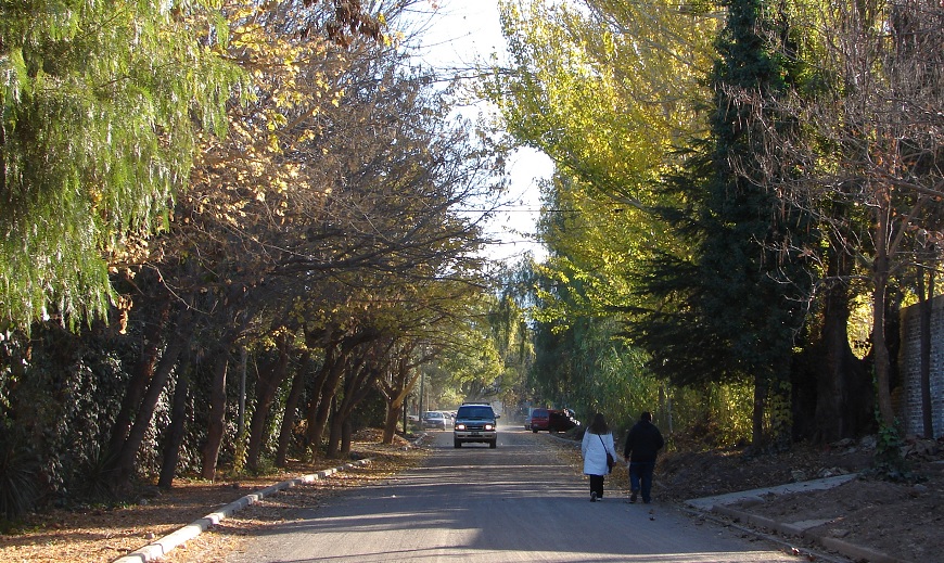 2. liniers