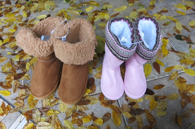 francisca en campaña