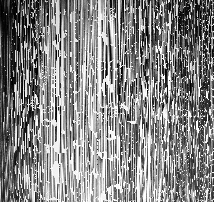 Obra de Martin Villalonga, Universos