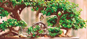 Abundancia y prosperidad