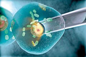Desafíos bioéticos actuales